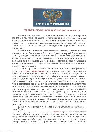 Правила пожарной безопасности в лесах